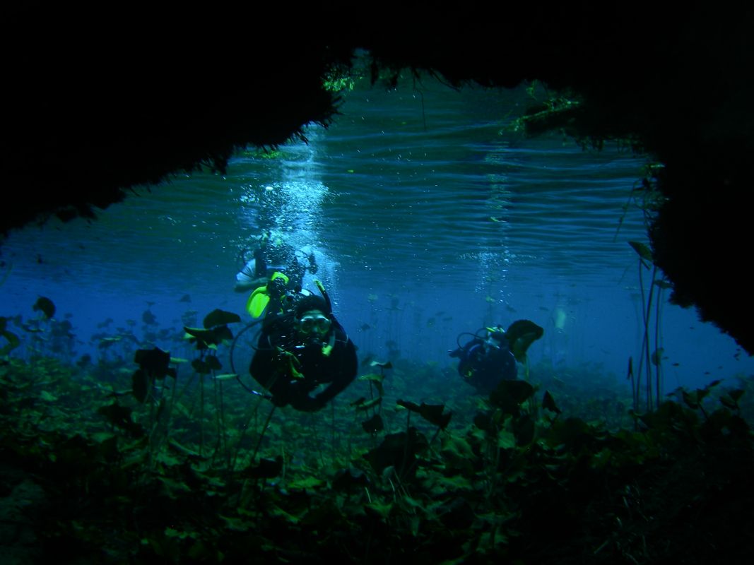 Buceo en el Mar de Cortés